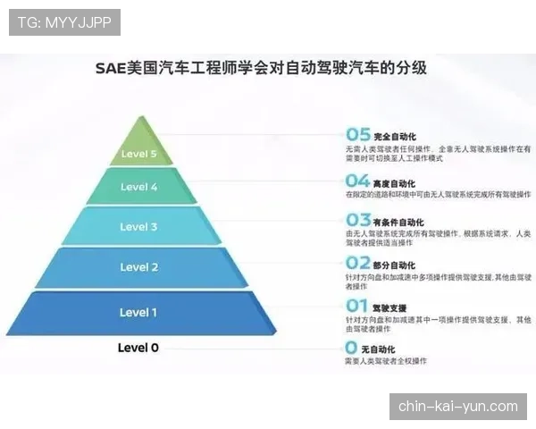 ON辅助开团精准到位